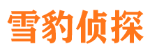 镜湖侦探公司